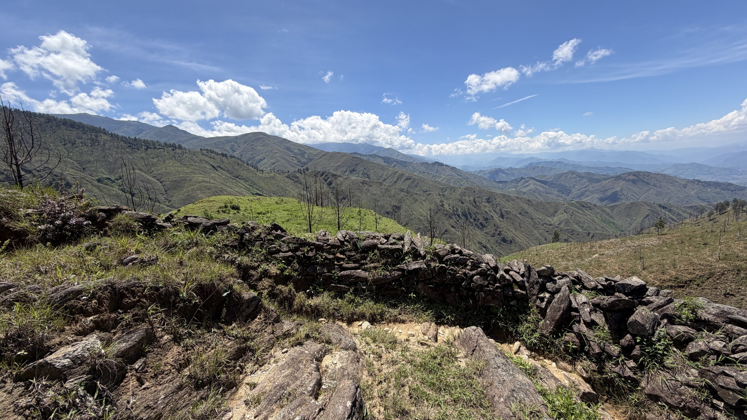 02-12-2025 MurosGuataguay IMG_4047