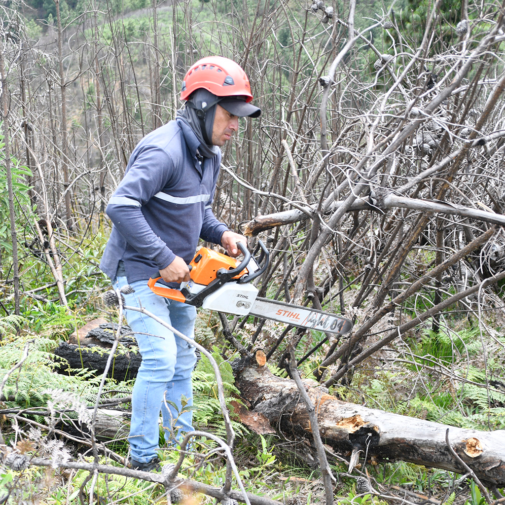 Acciones Conservacion 3