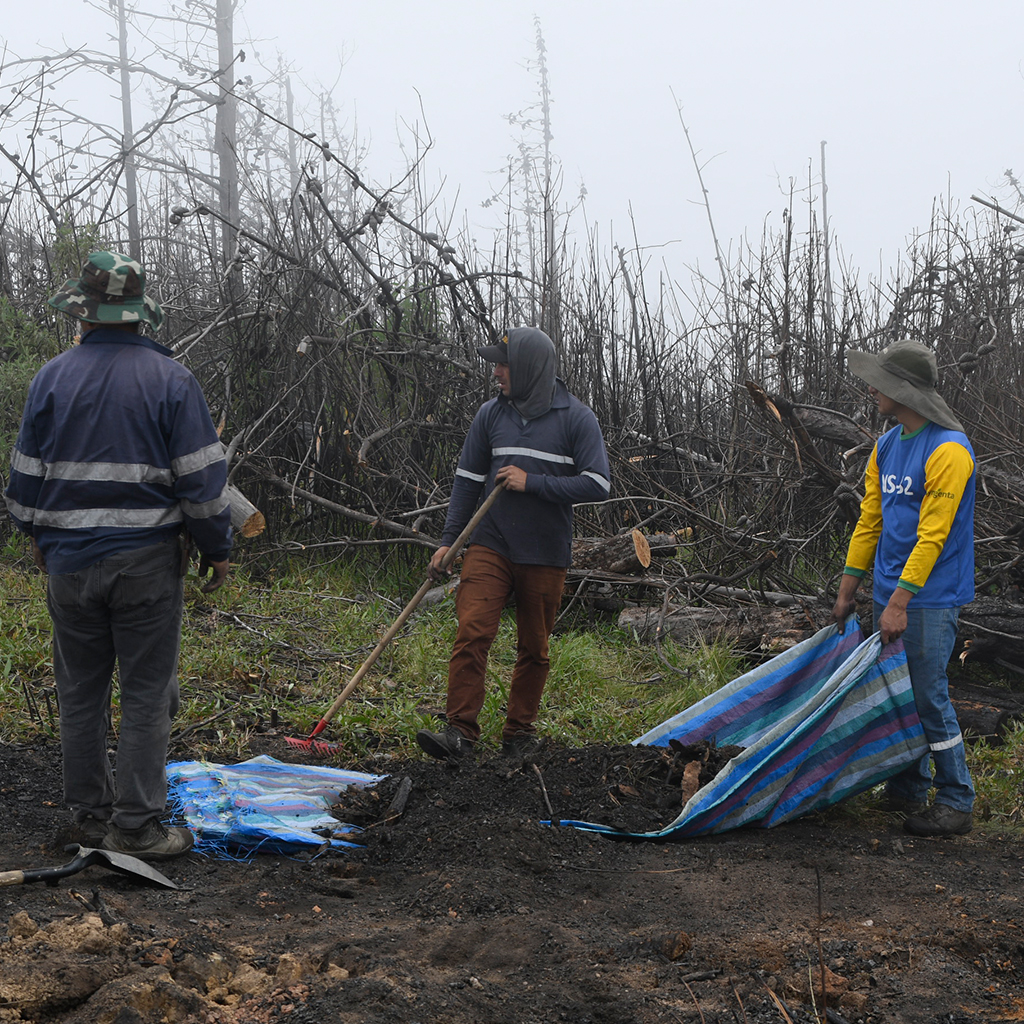 Acciones Conservacion 4