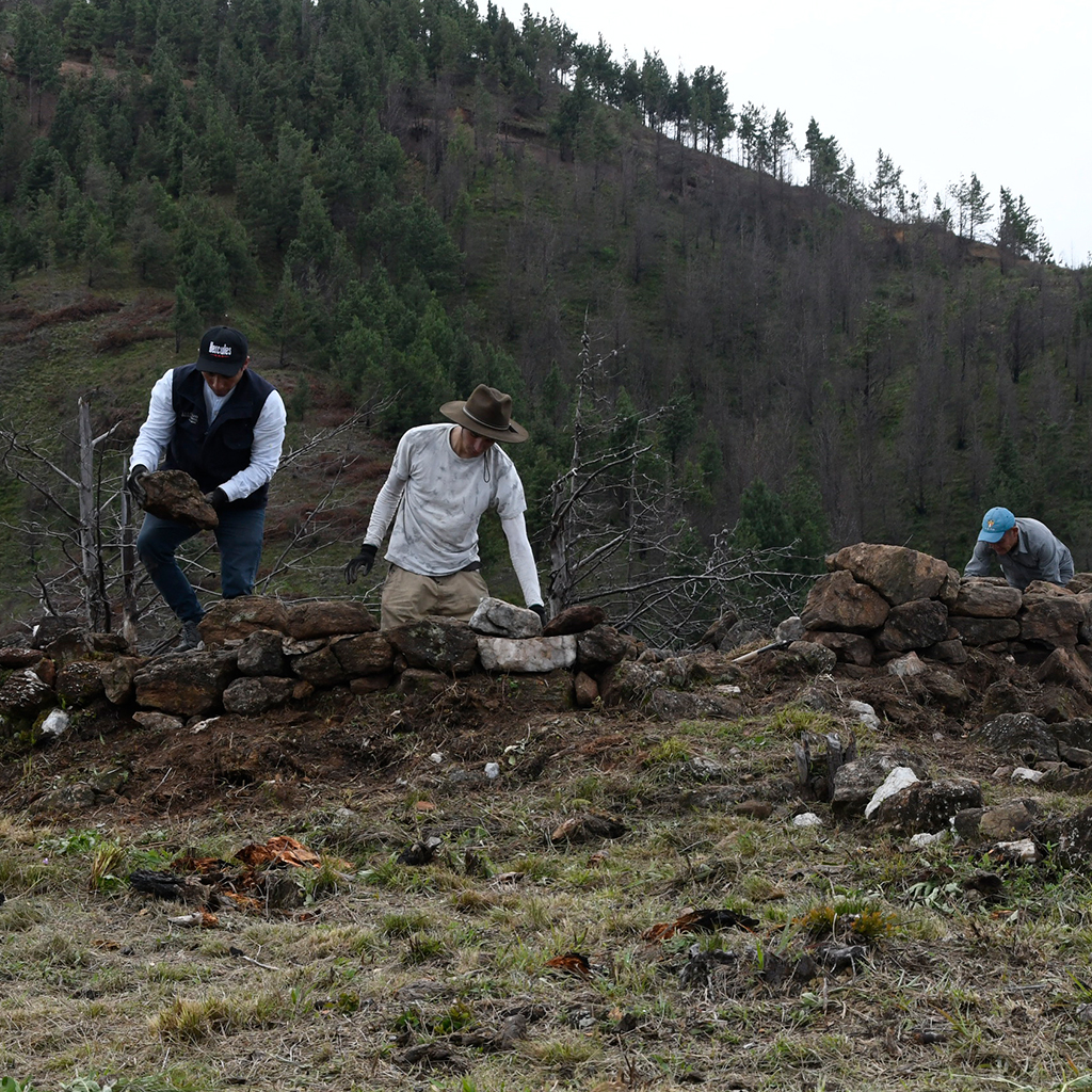 Acciones Conservacion 6