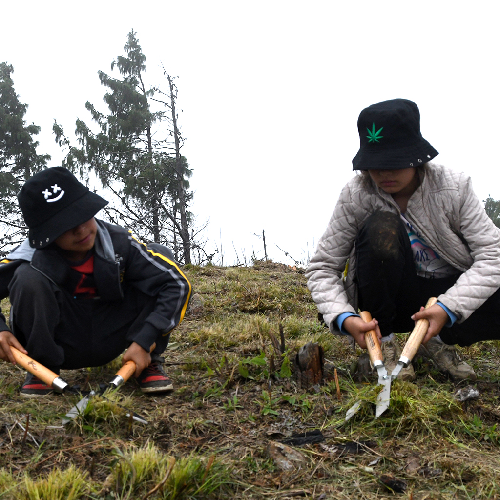 Acciones Conservacion 8