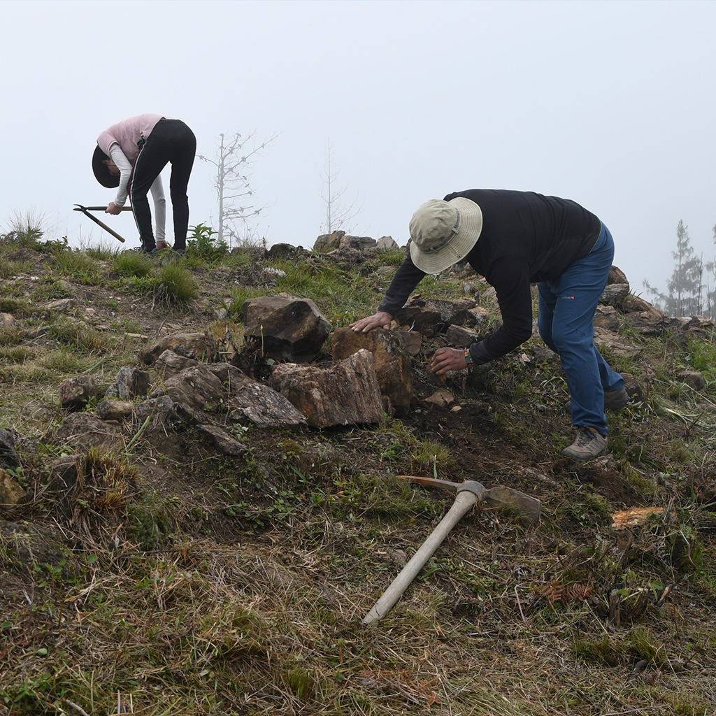 Conservacion 3