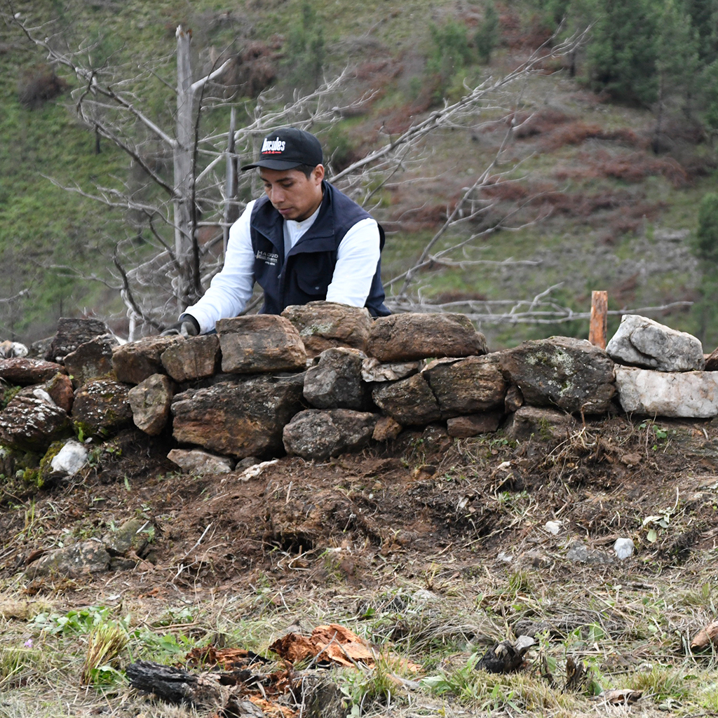 Conservacion 4