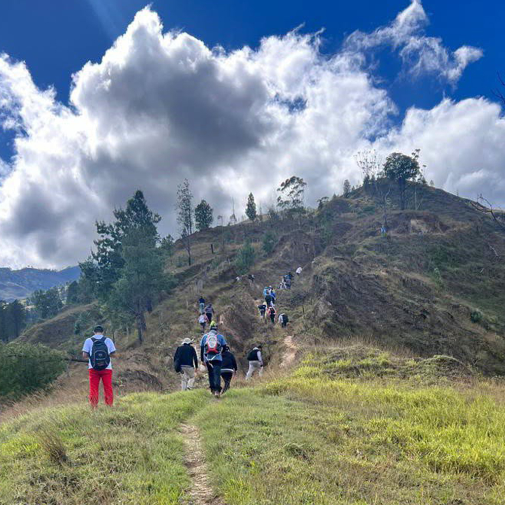 Caminata 3